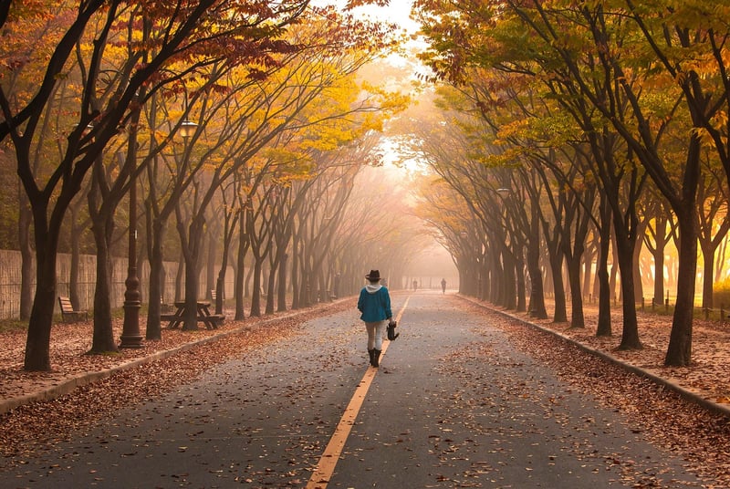 Walking Breaks